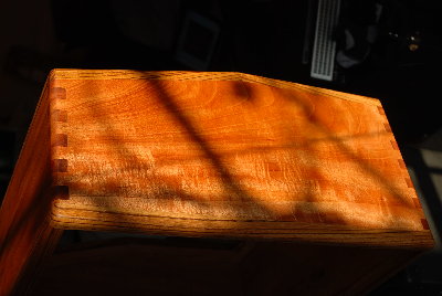 Mahogany Zebra (12).JPG