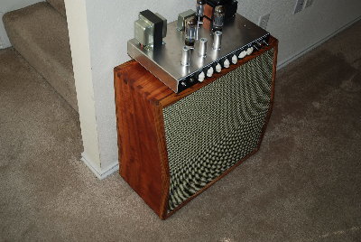 Mahog Zebra  (2).JPG