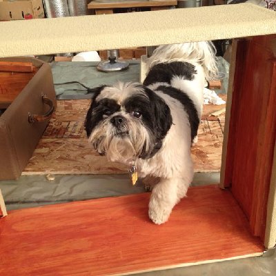 vibro louie inspection.jpg