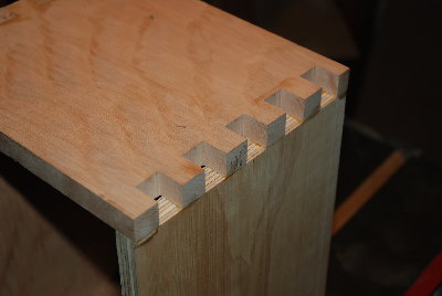 Champ fake fingers.JPG